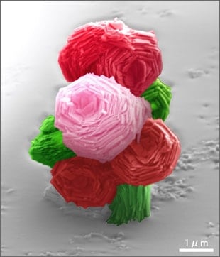 Micro Bouquet
                    