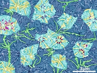 Cristal Flower Carpet