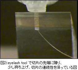 Wo2019 163657号 包埋剤 Astamuse
