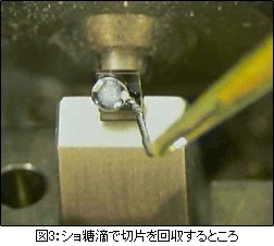構造細胞生物学のための電子顕微鏡技術 15 1 日立ハイテク