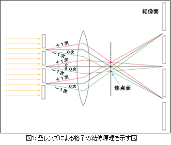 構造細胞生物学のための電子顕微鏡技術 16 3 日立ハイテク