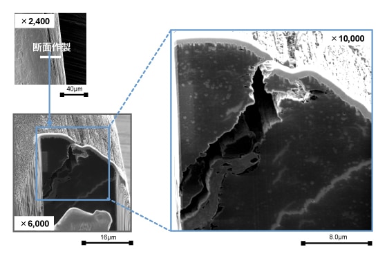 Fibデータギャラリー 髪の毛 枝毛 の断面観察 日立ハイテク