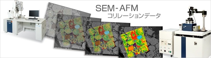 SEM-AFMコリレーションデータ