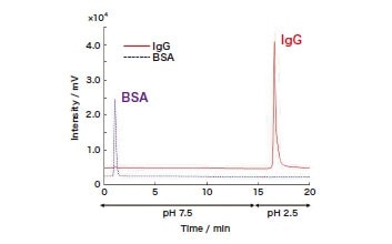 図2　ProA-SPMカラムによるIgGの特異的保持
