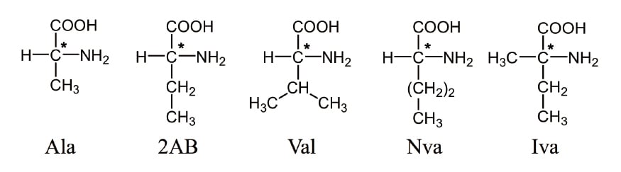 図１ 分析対象アミノ酸の構造