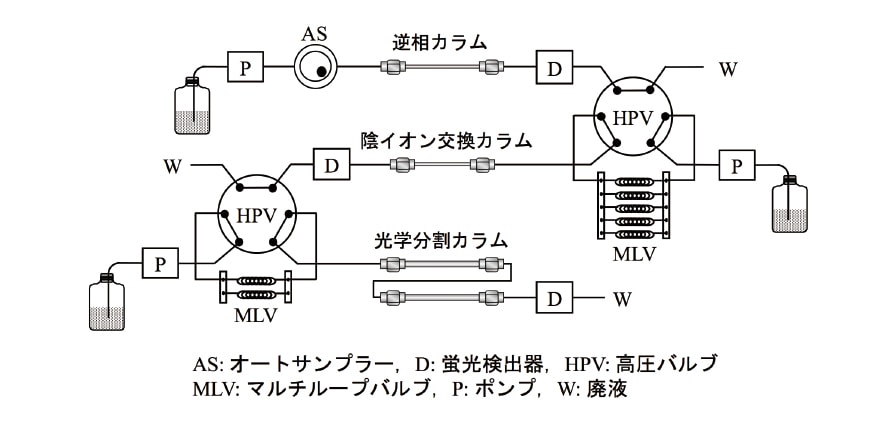 図２ 三次元HPLCの流路図