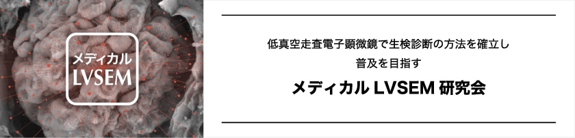 メディカルLVSEM研究会HP