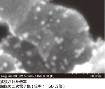 撮影画像イメージ：拡張された倍率 触媒の二次電子像(倍率：150万倍)