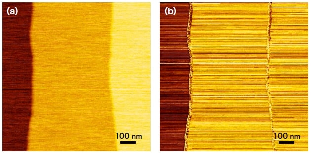 ナノカーボンプローブにより測定したSPM像（a）形状像、（b）電流像