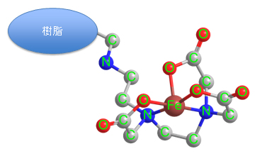 鉄イオンに5配位したエチレンジアミン三酢酸基の構造