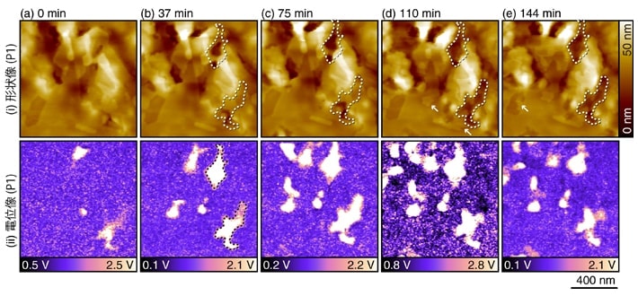 10 mM NaCl 水溶液中で取得した鋭敏化処理後の二相ステンレス鋼の表面形状像と電位像