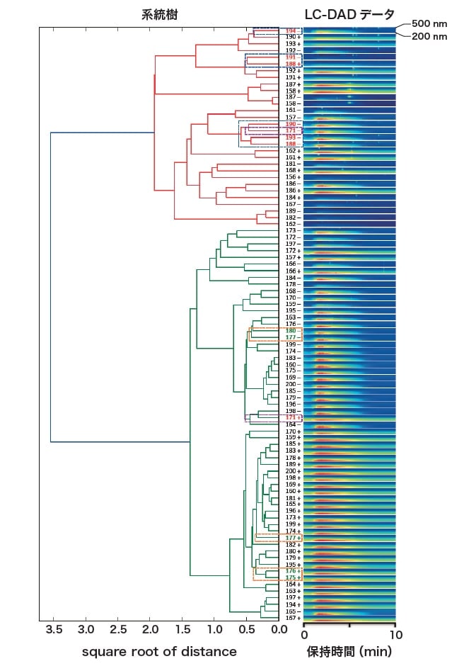 図３ 系統樹解析した結果　LC-DADデータ