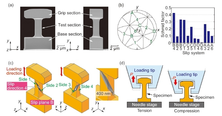 図5　（a）マイクロCu単結晶試験片、（b）試験片の方位を表すステレオグラフ及びシュミット因子、（c）主すべり系の模式図、（d）引張圧縮負荷方法8）　
