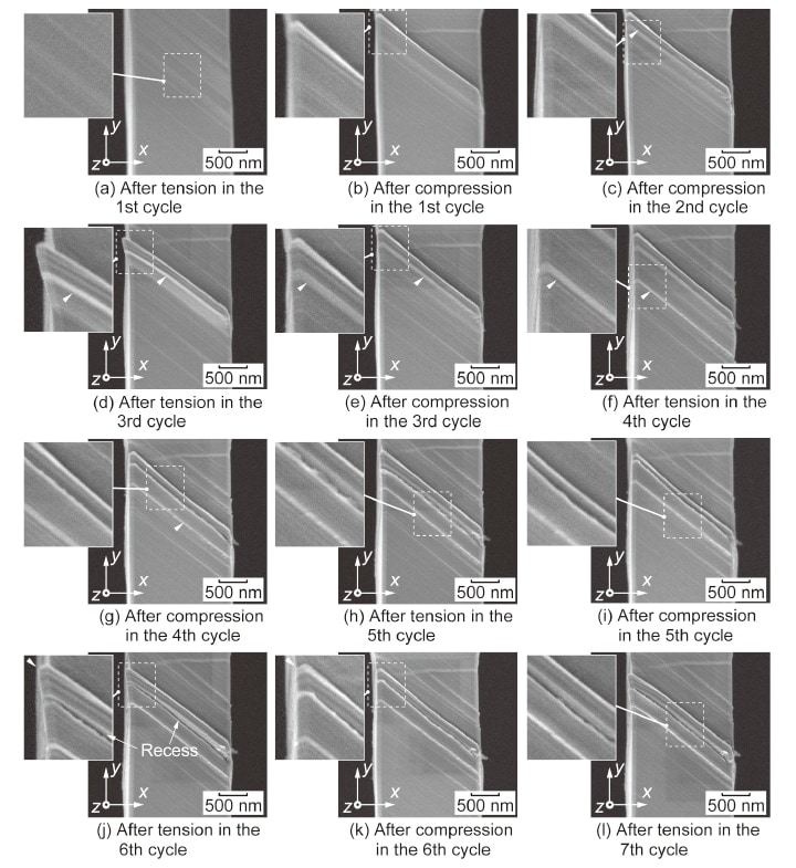 図7　半サイクル終了毎のFE-SEM観察像（SU8230を用いて観察）8）