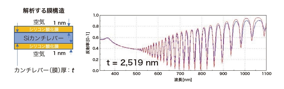 図2 分光膜厚計によるカンチレバーの分光スペクトルの例