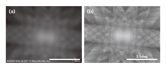 図2 （a）低倍率で撮影したSi単結晶のBSE像と（b）同一試料で取得したSACP
