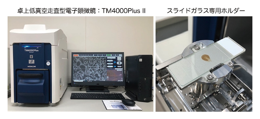 図1 （左）卓上走査型電子顕微鏡：TM4000PlusIIの外観。（右）スライドガラスの着脱が容易で、高さ合わせを必要としない便利なスライドガラス専用ホルダー。