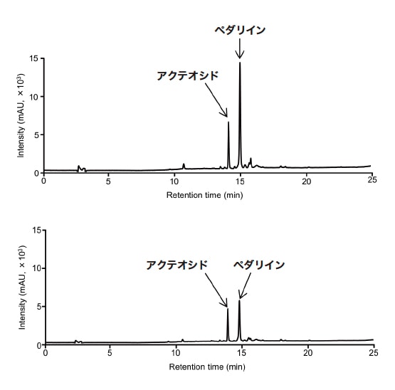 図5 アクテオシド及びペダリインを含有する食品試料の代表的なクロマトグラム