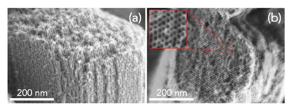 図２ SBA-15の(a)一次元メソ孔側面と(b)上面からのFE-SEM表面観察像（赤枠内は範囲拡大像）。倍率は200 k、加速電圧は0.5 kV、リターディングあり。日立ハイテク社製SU8600を使用。
