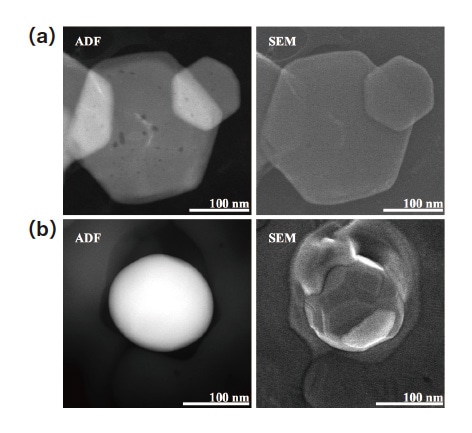 Fig. 10 ADF and SEM images of before (a) and after (b) reduced Fe nanoparticle at 480 °C with 5000 Pa H2