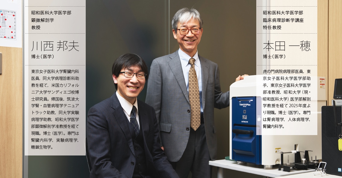 昭和医科大学医学部 顕微解剖学 教授 川西 邦夫 博士（ 医学）, 昭和医科大学医学部 臨床病理診断学講座 特任教授 本田 一穂 博士（ 医学）