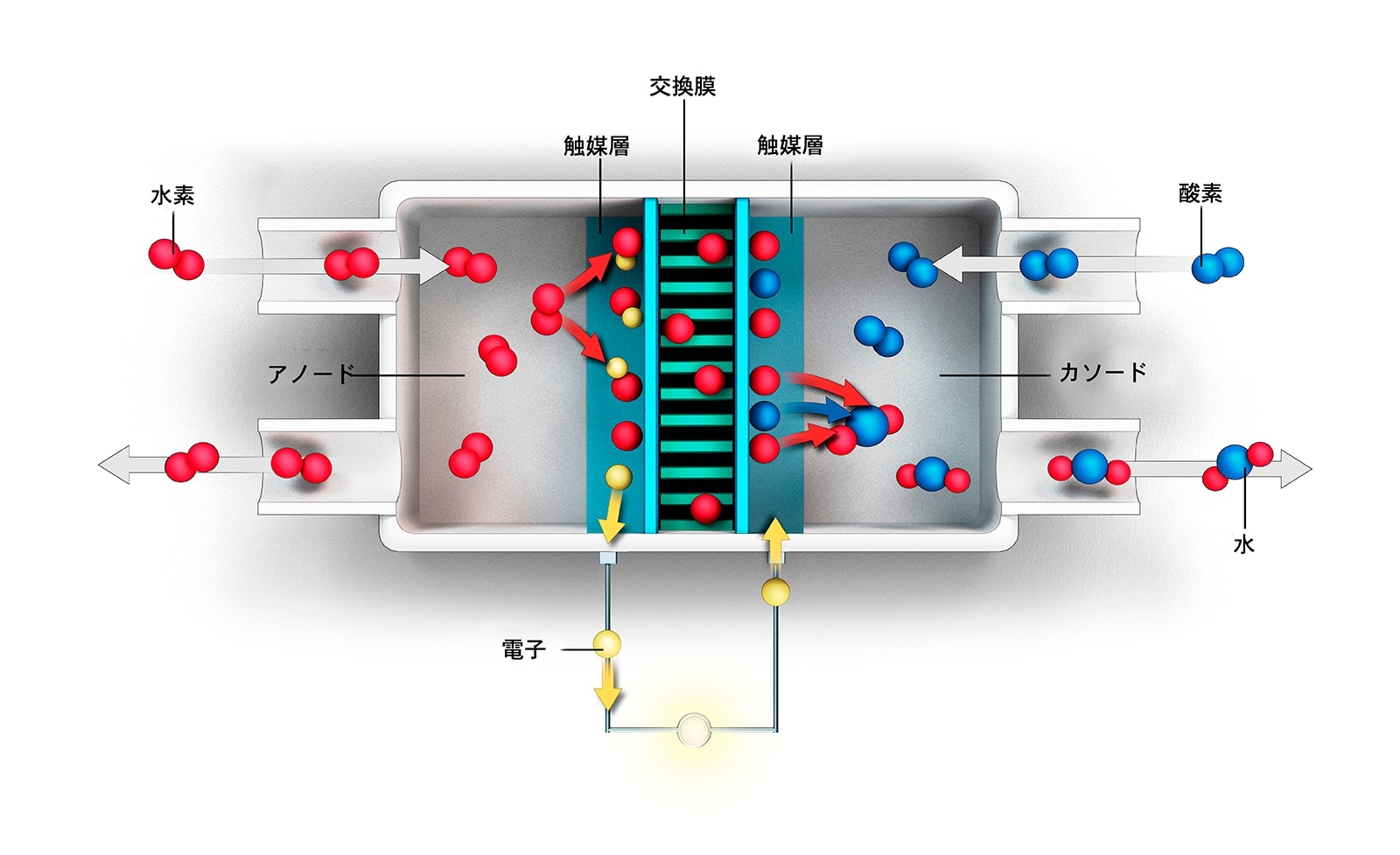 水素燃料電池の模式図。供給された水素（対になった赤い球）は、触媒層でプロトン（赤い球）と電子（黄色い球）に分離される。電子の流れによって電流が発生し、この電流が自動車のエネルギー源となる。プロトンは交換膜（中央）を通って反対側の触媒層に移動し、電子と空気中の酸素（青い球）と結合して水蒸気を生成する。一連の過程では水しか排出されない。