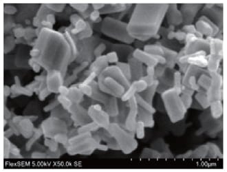 酸化亜鉛の画像