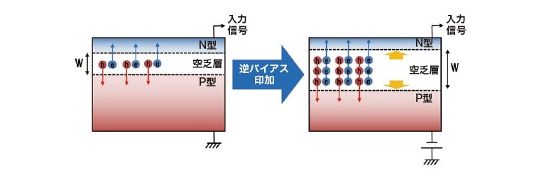 図3 PD-BSED素子への逆バイアス電圧印加による効果の模式図