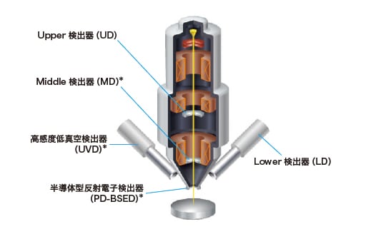 図6 SU8700の鏡筒断面及び検出器配置図  ＊はオプション検出器