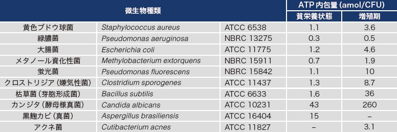 表1 各種微生物に含まれるATP量