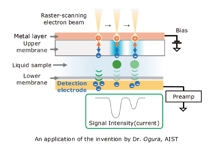 図2 検出原理概略図