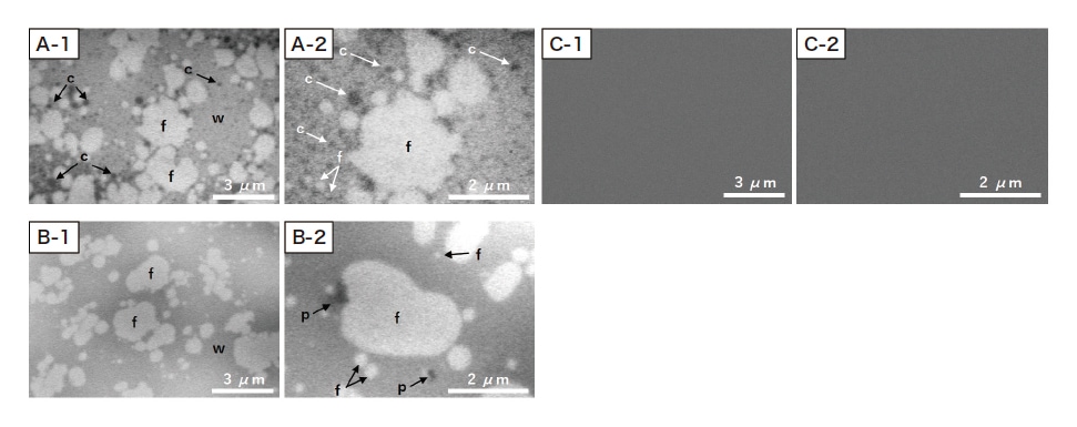 図3 乳製品の液中観察結果