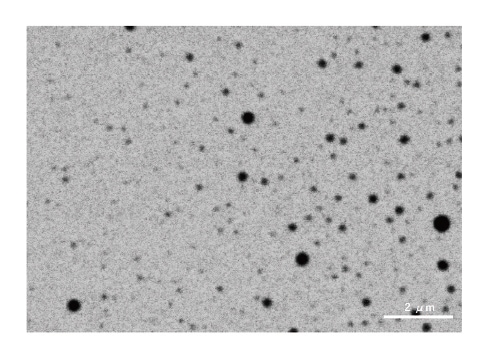 図4 リポソームの液中観察結果