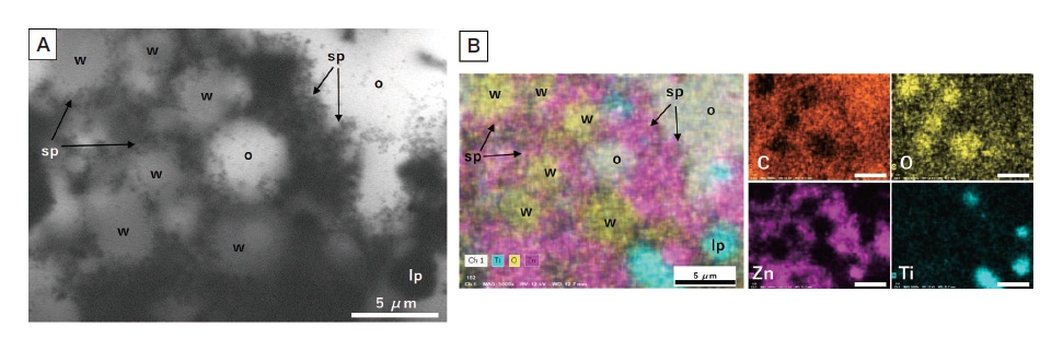 図5 日焼け止めクリームの液中解析結果
