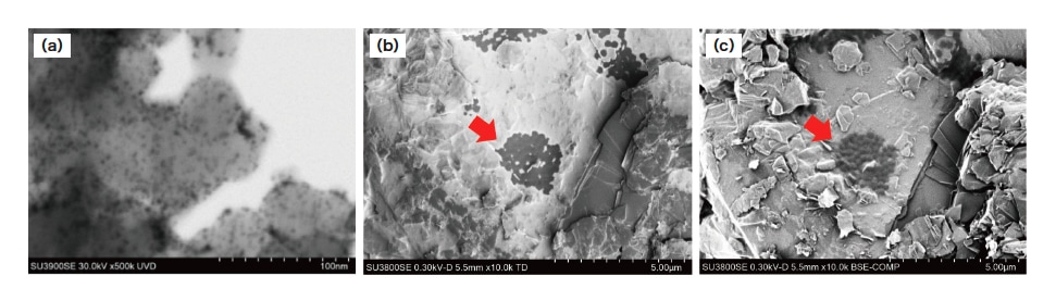 図2 SU3800SE/SU3900SE観察事例。(a)燃料電池触媒のSTEM明視野像、(b)リチウムイオン電池負極材の二次電子像（インカラム二次電子検出器による）、（c）同一視野の反射電子像