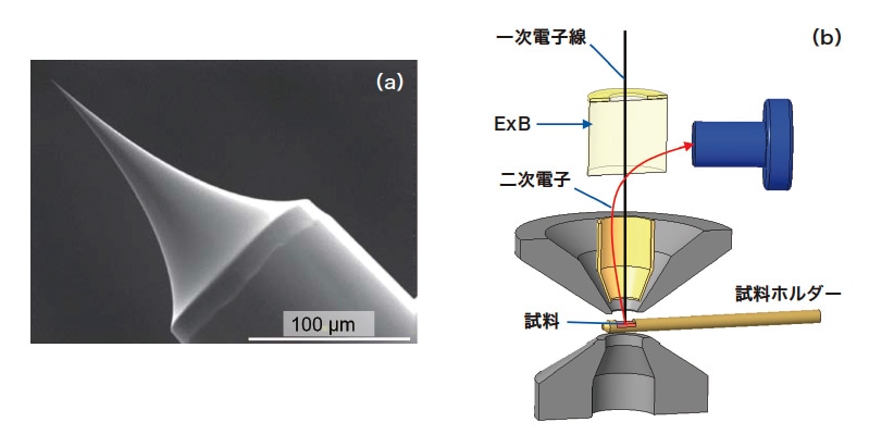 図2 (a)CFE電子銃先端 (b)インレンズ型対物レンズと試料、E×Bフィルターの配置