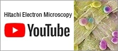 Hitachi Electron Microscopy YouTube