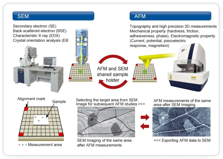 Correlative AFM and SEM Imaging