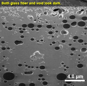 Secondary Electron image (SIM-SE)