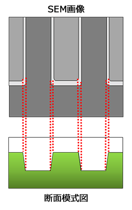 ライン＆スペースのSEM画像と断面摸式図の関係