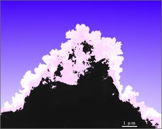ミクロ島のサンゴ－Si単結晶粒子上のW-Si-O微粒子集合体－