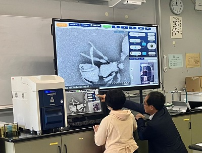 電子顕微鏡でアリを観察する様子