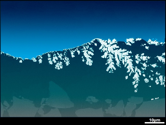 2025年度作品「ミクロアルプス」