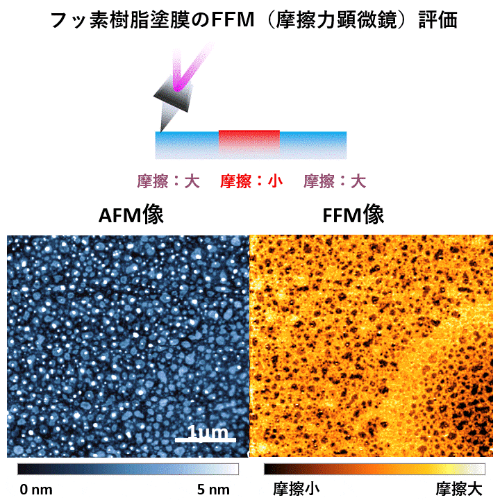 フッ素樹脂塗膜のFFM（摩擦力顕微鏡）評価