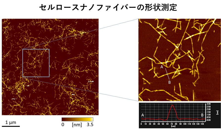 セルロースナノファイバーの形状測定