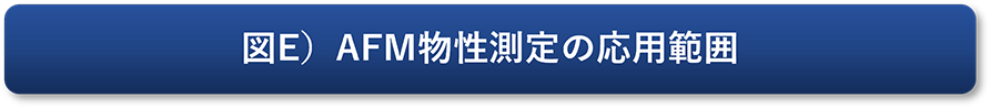 図E）AFM物性測定の応用範囲