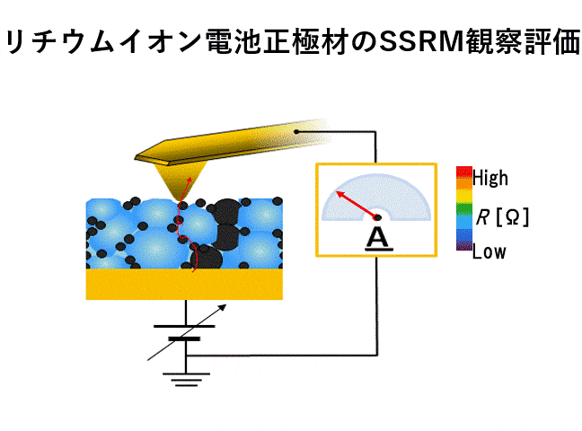 リチウムイオン電池正極材のSSRM観察評価