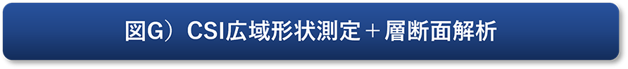 図G）CSI広域形状測定＋層断面解析