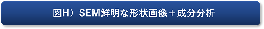 図H）SEM鮮明な形状画像＋成分分析