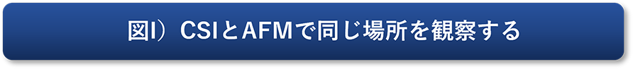 図I）CSIとAFMで同じ場所を観察する